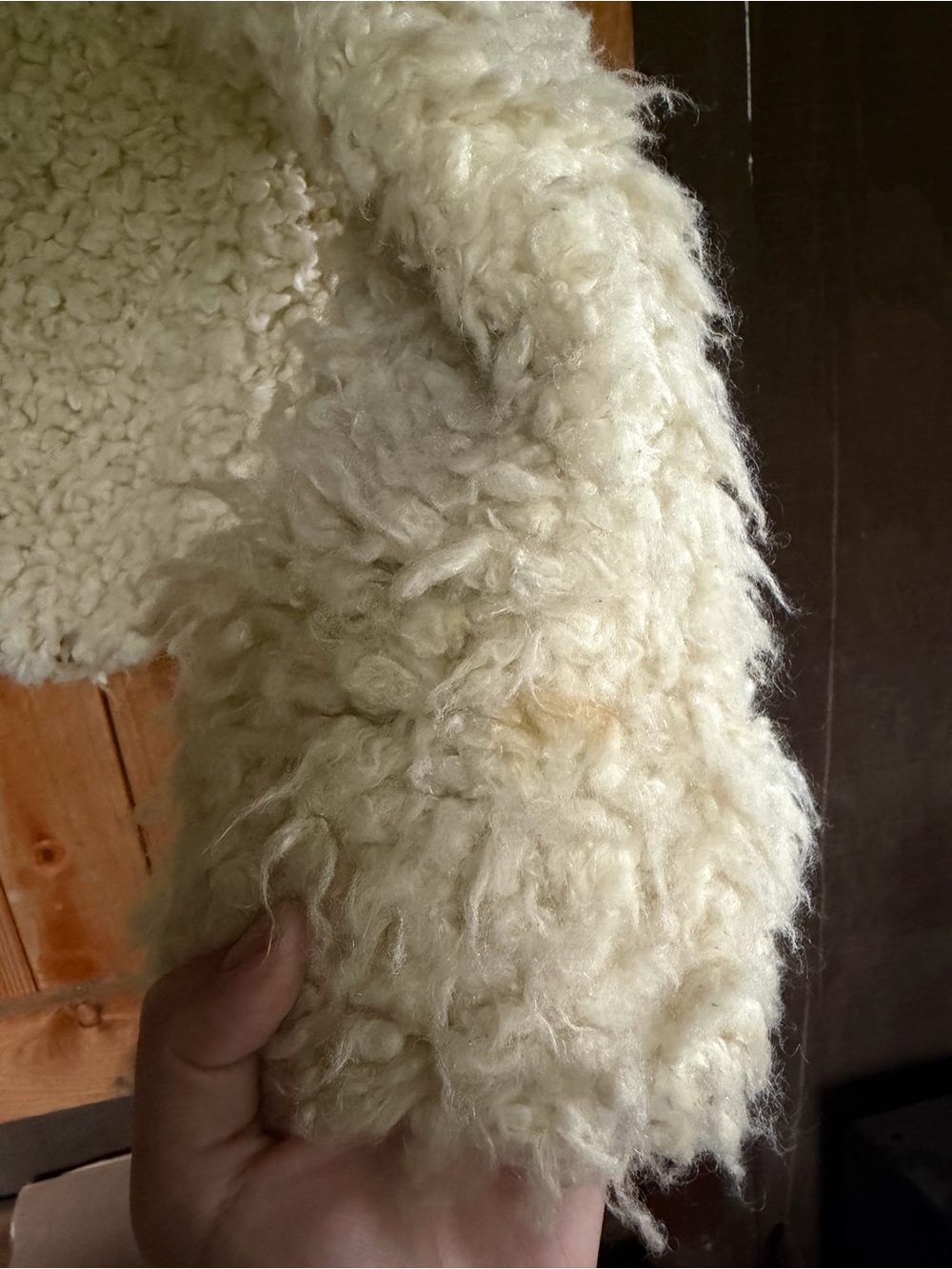 Free People Ivory Sherpa Moto Jacket - Picture 6 of 6